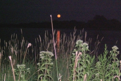 Full-Moon-2