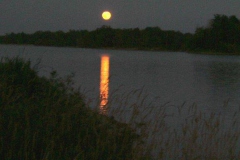 Full-Moon-at-the-Park