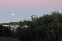 View-of-Lake-at-Dusk-5