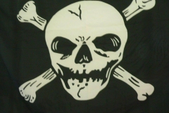 2012 Campers Pirate Picnic