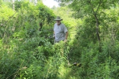 Clearing-the-Hiking-Trail-001