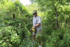 Clearing-the-Hiking-Trail-002