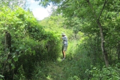 Clearing-the-Hiking-Trail-005