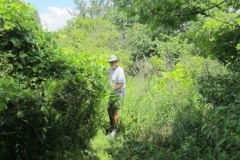 Clearing-the-Hiking-Trail-008