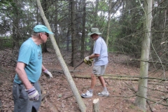 Clearing-the-Hiking-trail-014