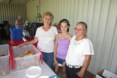 2012-7-15-010