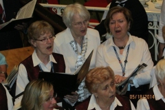 IMG_0316-Copy-Copy