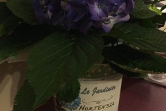 Hortensia-1926