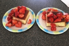 2017 Strawberry Social