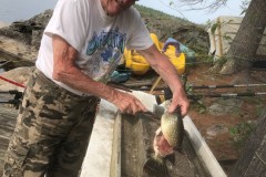 Cleaning-Fish