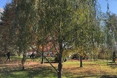 2021-Memorial-BP-04