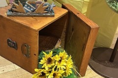 IMG_2330